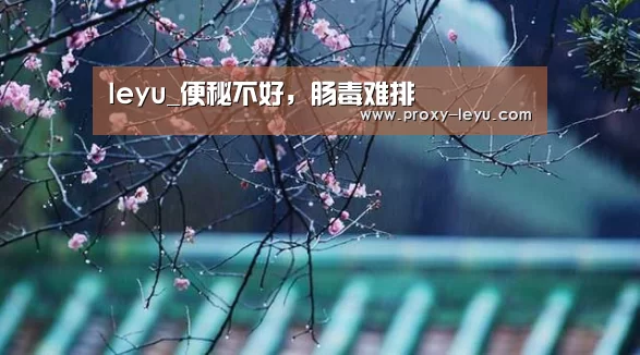 乐鱼