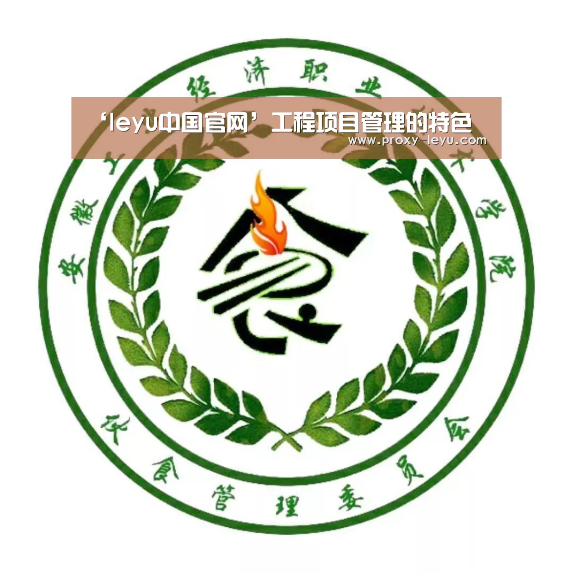 ‘leyu中国官网’工程项目管理的特色(图3) 乐鱼体育