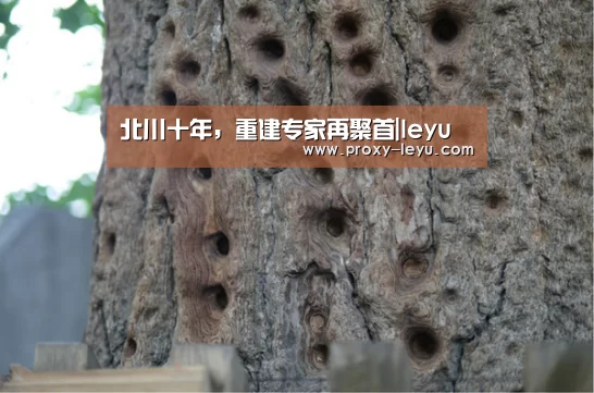北川十年，重建专家再聚首|leyu